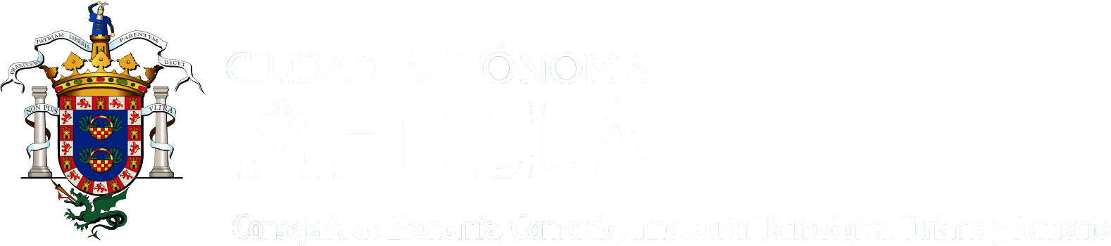 RII Melilla Logo
